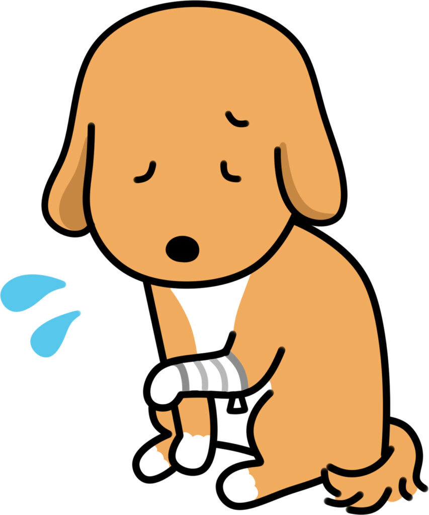 獣医師監修 自宅で犬の爪切り中に血が出たらどうしたらいいのか たかつきユア動物病院 高槻市栄町 犬 猫専門 ワクチン 健康診断も対応 獣医師監修 自宅で犬の爪切り中に血が出たらどうしたらいいのか たかつきユア動物病院 高槻市栄町 犬 猫専門 ワクチン 健康診断も対応