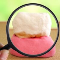 【獣医師監修】無麻酔歯石除去のメリットデメリットを解説